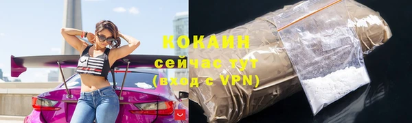 соль ск Вяземский