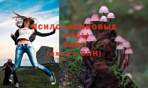 jwh Вязники