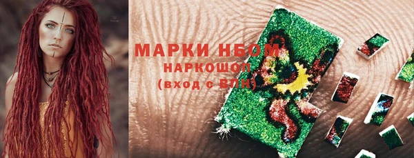 соль ск Вяземский
