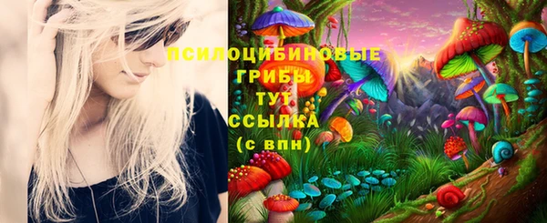 винт Наволоки