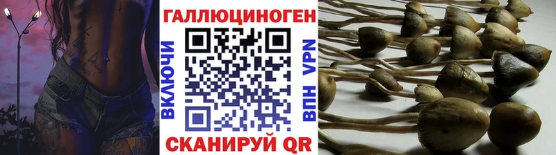 Псилоцибиновые грибы Psilocybe  как найти   Первомайск 